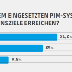 Unternehmensziel mit PIM