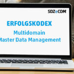 Erfolgsfaktor Multidomain Master Data Management