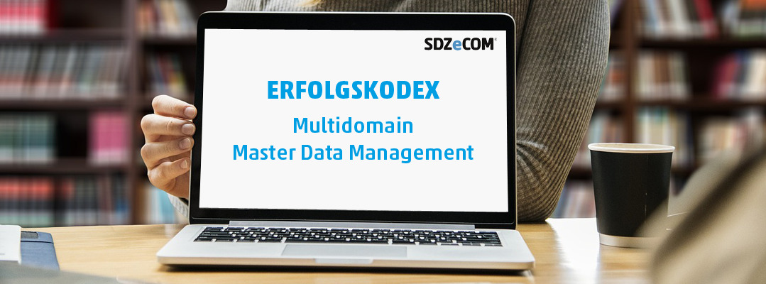 Erfolgsfaktor Multidomain Master Data Management