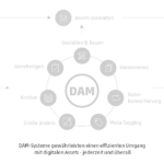 Funktionsweise eines DAM-Systems